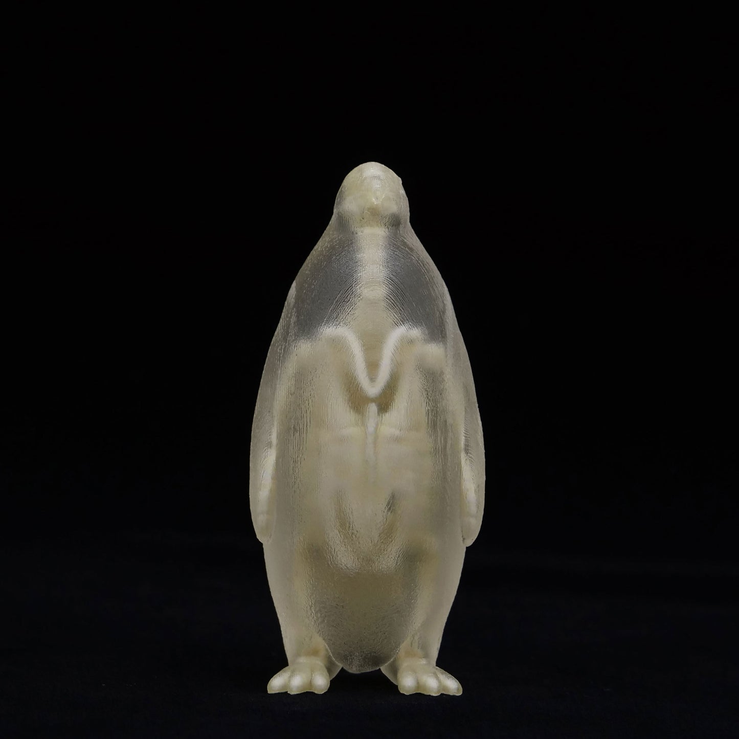 玉骨標本 コウテイペンギン Sサイズ 半完成品(研磨なし)