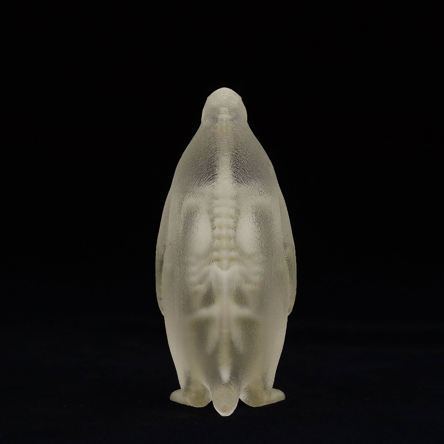 玉骨標本 コウテイペンギン Sサイズ 半完成品(研磨なし)