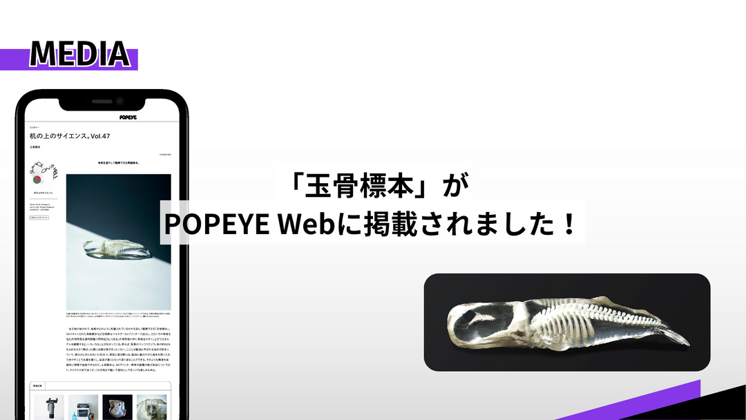 【メディア掲載のお知らせ】「玉骨標本」がPOPEYE Webに掲載されました！
