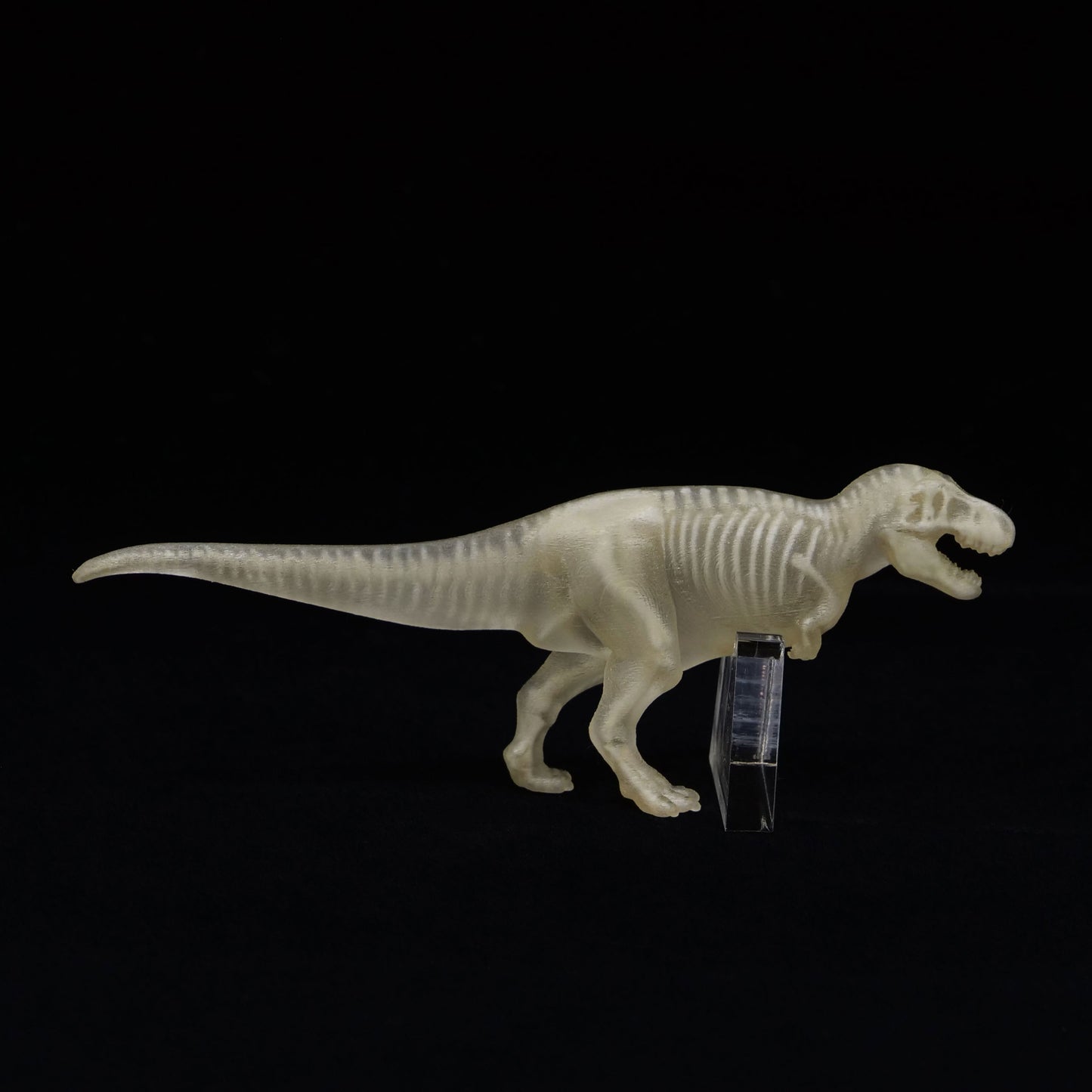 玉骨標本　ティラノサウルス　Sサイズ　半完成品(研磨なし)