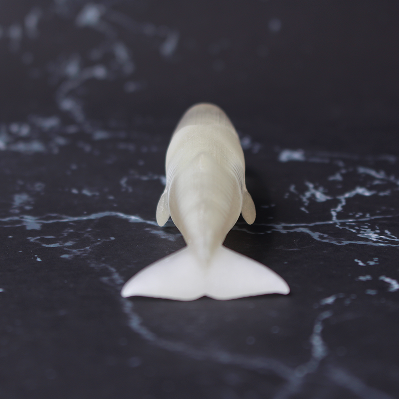 玉骨標本 マッコウクジラ Sサイズ 半完成品(研磨なし) – 合同会社吉本アートファクトリー
